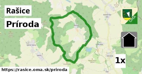 príroda v Rašice