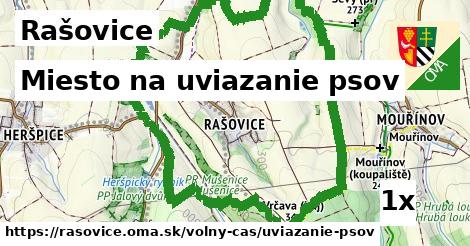 Miesto na uviazanie psov, Rašovice