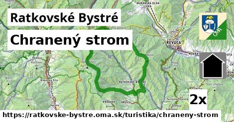 Chranený strom, Ratkovské Bystré