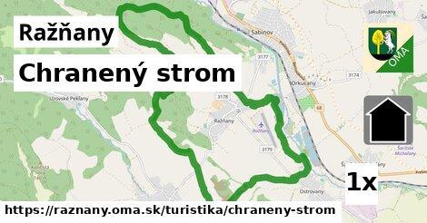 Chranený strom, Ražňany