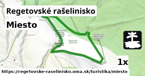 Miesto, Regetovské rašelinisko