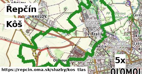Kôš, Řepčín