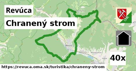 Chranený strom, Revúca