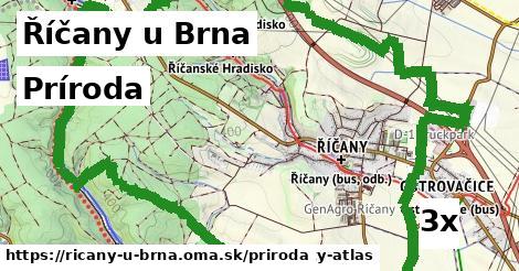 príroda v Říčany u Brna