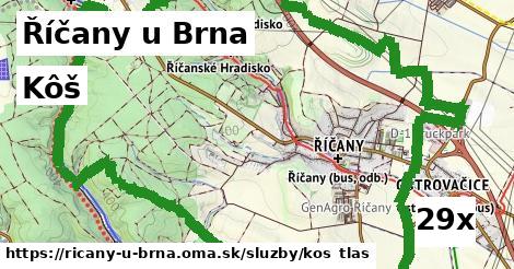 kôš v Říčany u Brna