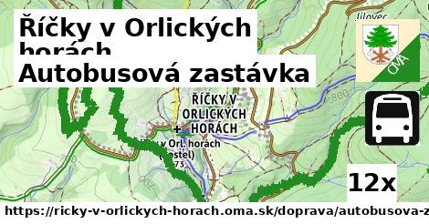 Autobusová zastávka, Říčky v Orlických horách