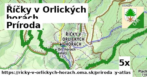 príroda v Říčky v Orlických horách