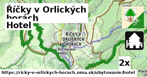 Hotel, Říčky v Orlických horách