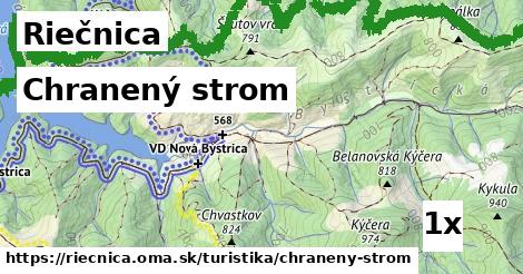 Chranený strom, Riečnica