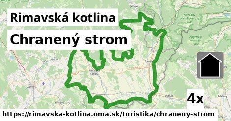 Chranený strom, Rimavská kotlina