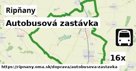 Autobusová zastávka, Ripňany