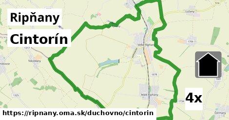 Cintorín, Ripňany