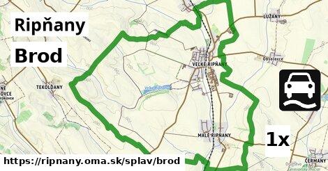 Brod, Ripňany