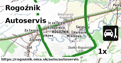 Autoservis, Rogoźnik