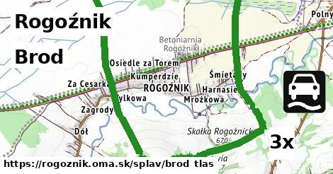Brod, Rogoźnik