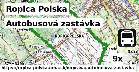 Autobusová zastávka, Ropica Polska