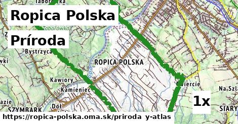 príroda v Ropica Polska