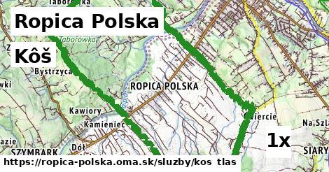 Kôš, Ropica Polska