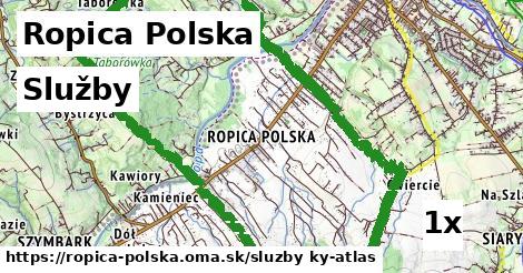 služby v Ropica Polska