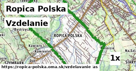 vzdelanie v Ropica Polska