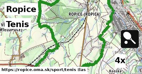 Tenis, Ropice