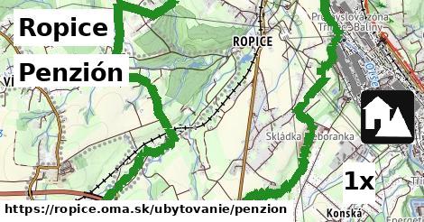 Penzión, Ropice