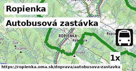 Autobusová zastávka, Ropienka