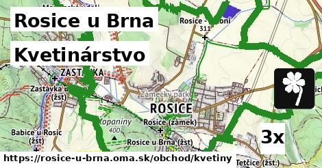 Kvetinárstvo, Rosice u Brna