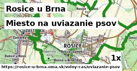 Miesto na uviazanie psov, Rosice u Brna