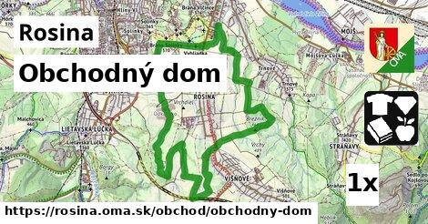 Obchodný dom, Rosina