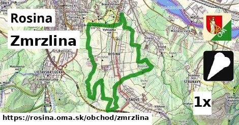 Zmrzlina, Rosina