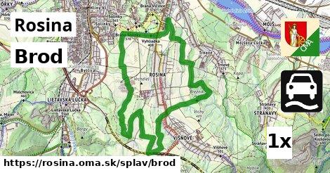 Brod, Rosina
