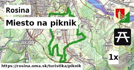 Miesto na piknik, Rosina