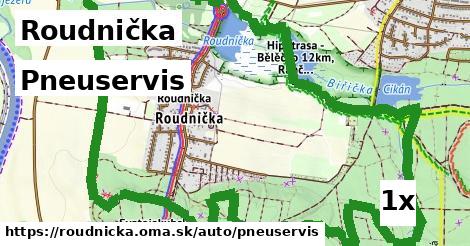 Pneuservis, Roudnička