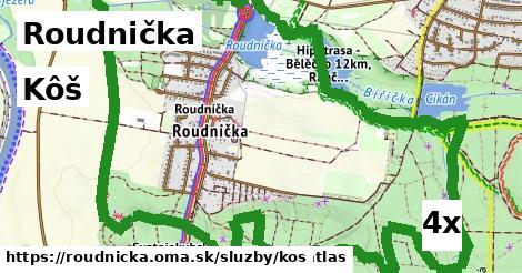 Kôš, Roudnička