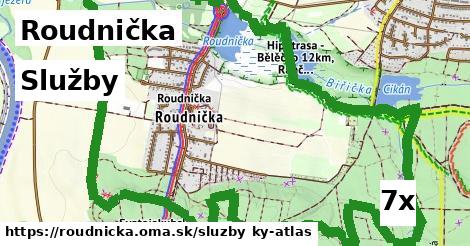 služby v Roudnička