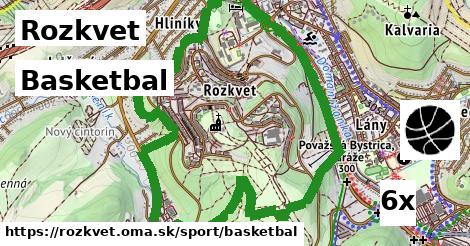 basketbal v Rozkvet