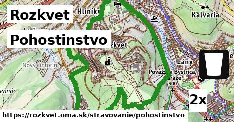 Pohostinstvo, Rozkvet