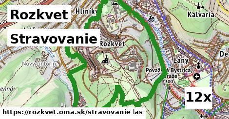 stravovanie v Rozkvet