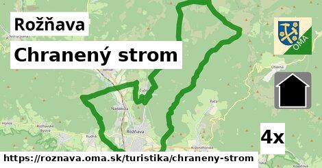 Chranený strom, Rožňava