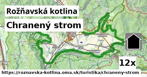 Chranený strom, Rožňavská kotlina