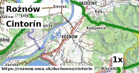 cintorín v Rożnów