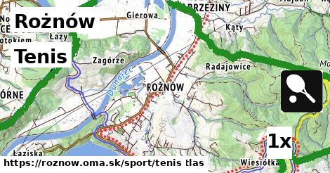 tenis v Rożnów