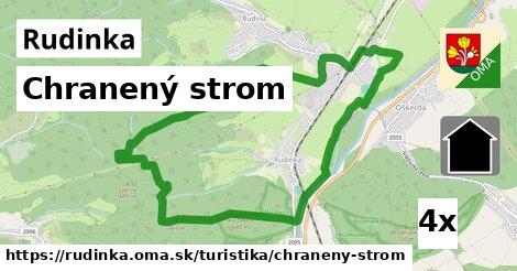 Chranený strom, Rudinka