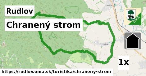 Chranený strom, Rudlov