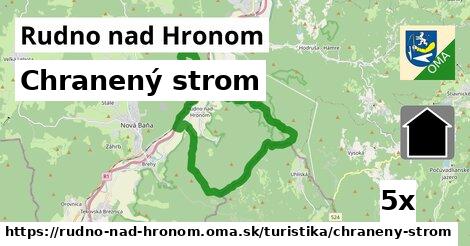 Chranený strom, Rudno nad Hronom