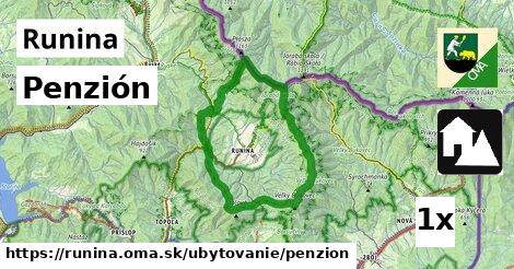 Penzión, Runina
