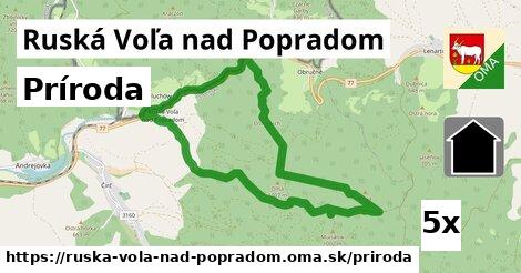 príroda v Ruská Voľa nad Popradom