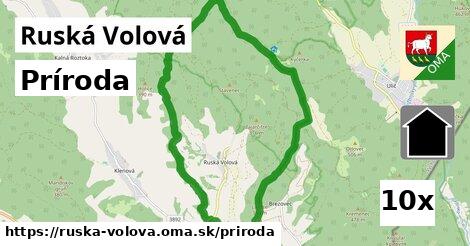 príroda v Ruská Volová