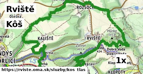 Kôš, Rviště